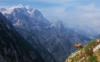 Goat mountain range clouds sky - a goat free wallpaper