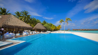 Luxury beach pool palm trees - luxury free wallpaper
