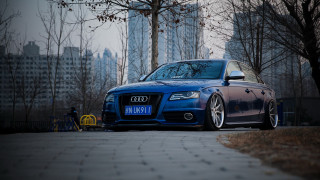 Blue car city street tree - a city street next free wallpaper