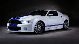 White blue mustang dark room 3 - a spotlight free wallpaper