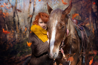 Woman horse autumn leaves forest - the ground and trees free wallpaper