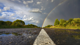 Rainbow road trees grass magic - a white line free wallpaper