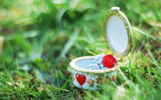 Small box red rose mirror - a mirror free wallpaper for desktop