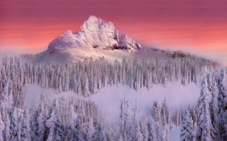 Snowy mountain pink sky trees - a mountain free wallpaper for desktop