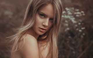 Woman long hair field blonde - neoromanticism free wallpaper