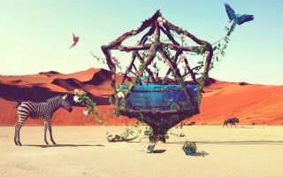 Zebra desert sculpture bird cage - the middle of a desert free wallpaper