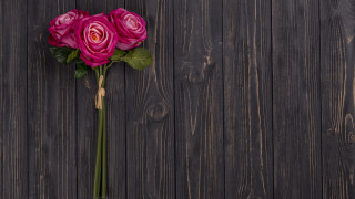 Pink rose wooden surface green - a wooden surface free wallpaper for desktop
