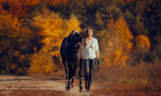 Woman horse dirt road woods - a horse free wallpaper