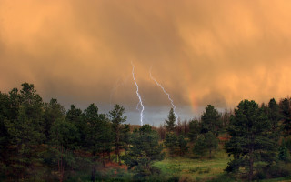 Large cloud lightning forest thunderstorm - a large cloud free wallpaper for desktop