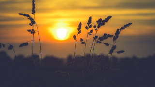 Sunset tallgrass building clouds dusk - a few tall grass free wallpaper