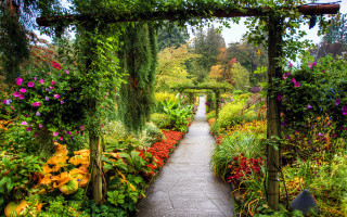Garden paths flower tunnel autumn - blunt free wallpaper