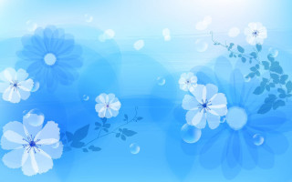 Blue background white flowers leaves 2 - white flower and leaves free wallpaper for desktop