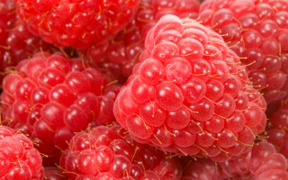 Raspberries water droplets macro photorealism 4 - berry free wallpaper for desktop