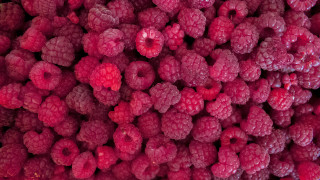 Raspberries pile macro flower rose - a bunch of raspberries free wallpaper