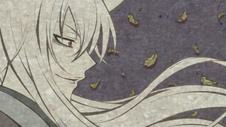 Woman long hair butterfly in - a butterfly free wallpaper