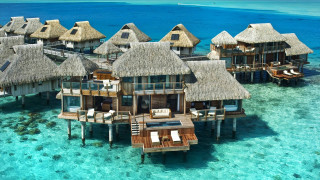 Waterhouses beachroof chairs umbrellas architecture - chair and umbrellas free wallpaper