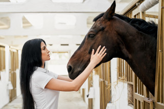 Woman horse stable wooden fence - a horse in the background free wallpaper