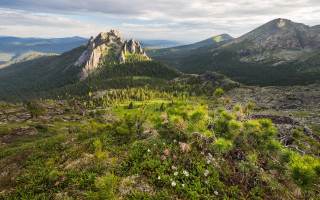 Mountain range trees clouds zenith - zenith view free wallpaper for desktop