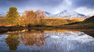 Mountain lake trees cloudy sky 3 - a lake in the foreground free wallpaper