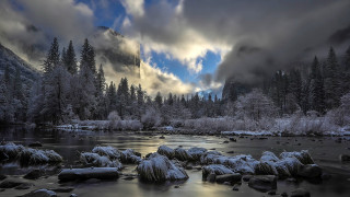 River snow covered trees cloudy - a forest in the background free wallpaper
