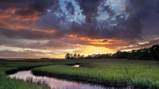 Sunset marsh stream trees cloudy - a small stream free wallpaper