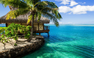 Hut beach palm tree dock 2 - a hut free wallpaper