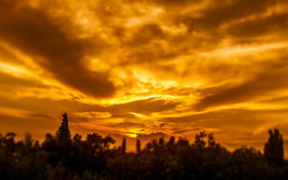 Sunset clouds trees yellow sky - constantine andreou free wallpaper