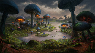 Forest mushrooms pond fantasy matte - free cyberpunk wallpaper