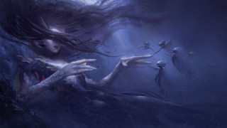 Woman long hair flower bird - anna dittmann free wallpaper