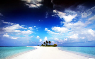 Deserted beach palm tree island - beach free wallpaper for desktop