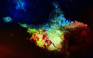 Colorful particles night sky fire - small white dot free wallpaper