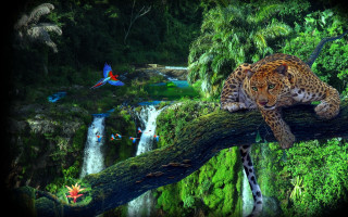Leopard tree branch jungle waterfall 2 - over the top free wallpaper