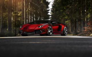 Red sports car driving woods 2 - the background and sunlight free wallpaper
