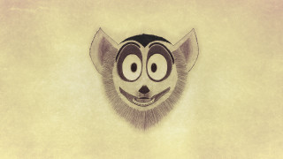 Surprised cat nose ring pop - its face and nose free wallpaper