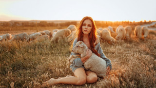 Woman sitting field sunset animals - leesha hannigan free wallpaper