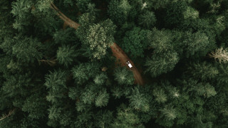 Car parked forest top down - the middle of a forest free wallpaper for desktop