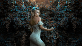 Woman dress bush bow fashion - a bush free wallpaper