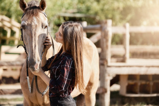 Woman horse stable blurry bokeh - a horse in the background free wallpaper