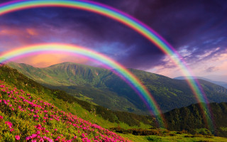 Rainbow mountain flower sky light - sky free wallpaper for desktop
