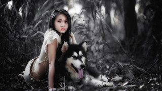 Woman husky forest dress nature - husky free wallpaper for desktop