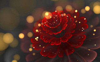 Red flower water droplets bokeh - a red flower free wallpaper for desktop