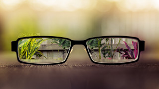 Glasses reflected plants table top - a pair of glasses free wallpaper