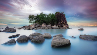 Small island tree ocean rocks - a small island free wallpaper