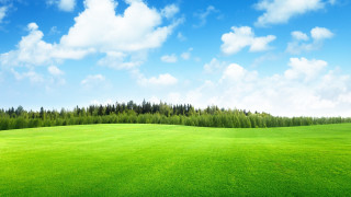 Green field trees blue sky 2 - a few cloud free wallpaper for desktop