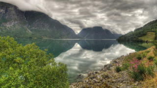 Lake mountains trees clouds flowers - free ship wallpaper