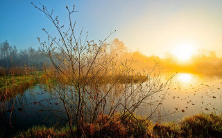 Lake fog sunset trees autumn - the foreground and a sun free wallpaper
