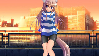 Anime girl cat ears cityscape - a cityscape free wallpaper
