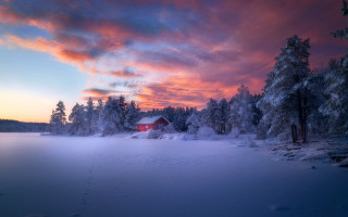 Red house snowy field trees - beautiful landscape free wallpaper