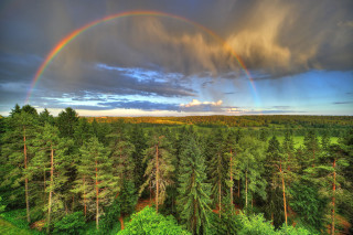 Rainbow over forest mountains lake - over a forest free wallpaper
