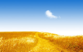 Path field tallgrass cloud blue 2 - a cloud in the sky above free wallpaper